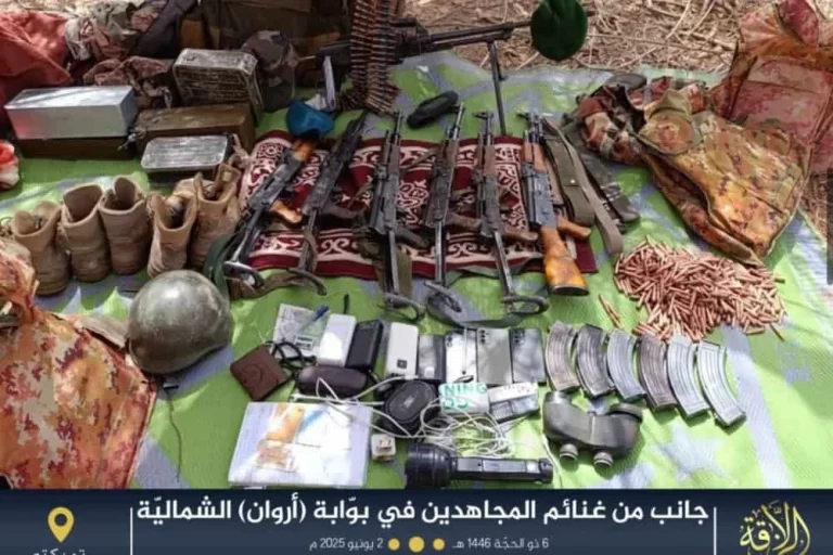 Surge in Terrorism in Sahel and Nigeria Linked to US Withdrawal, Experts Say