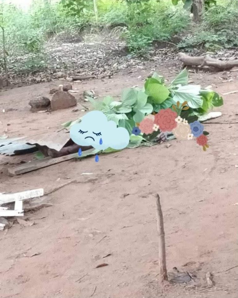 Brutal Attack on Farmers in Enugu State by  Fulani Herdsmen Sparks Outrage