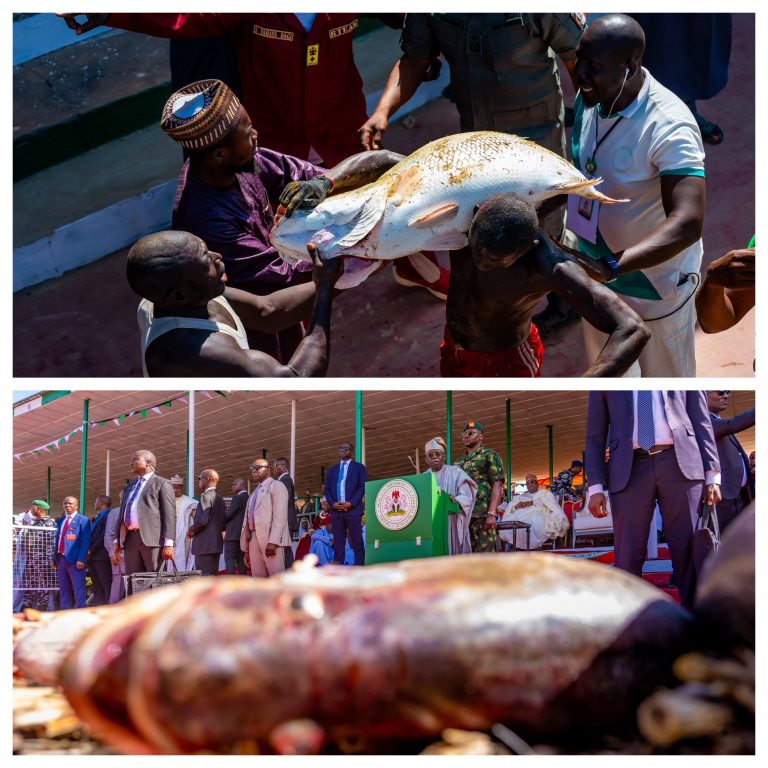 ADC Slams Tinubu for Attending Argungu Fishing Festival Amid Surge in Killings and Kidnappings