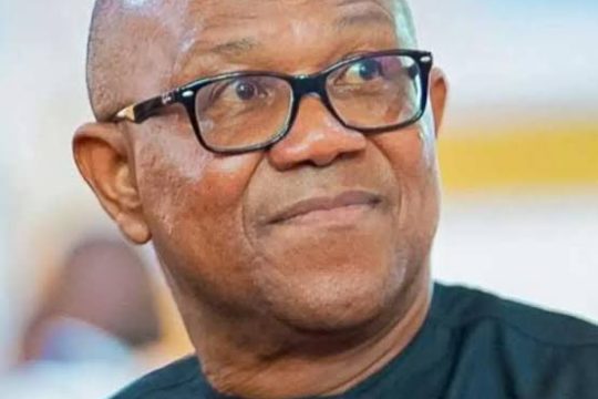 Peter Obi Criticises Tinubu’s UK State Visit, Urges Focus on Economic Results