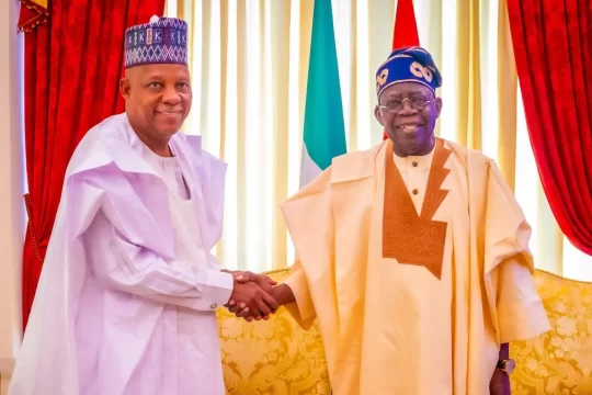 Tinubu in Paris, Shettima in Delhi: what Nigeria’s constitution actually requires when both leaders are abroad